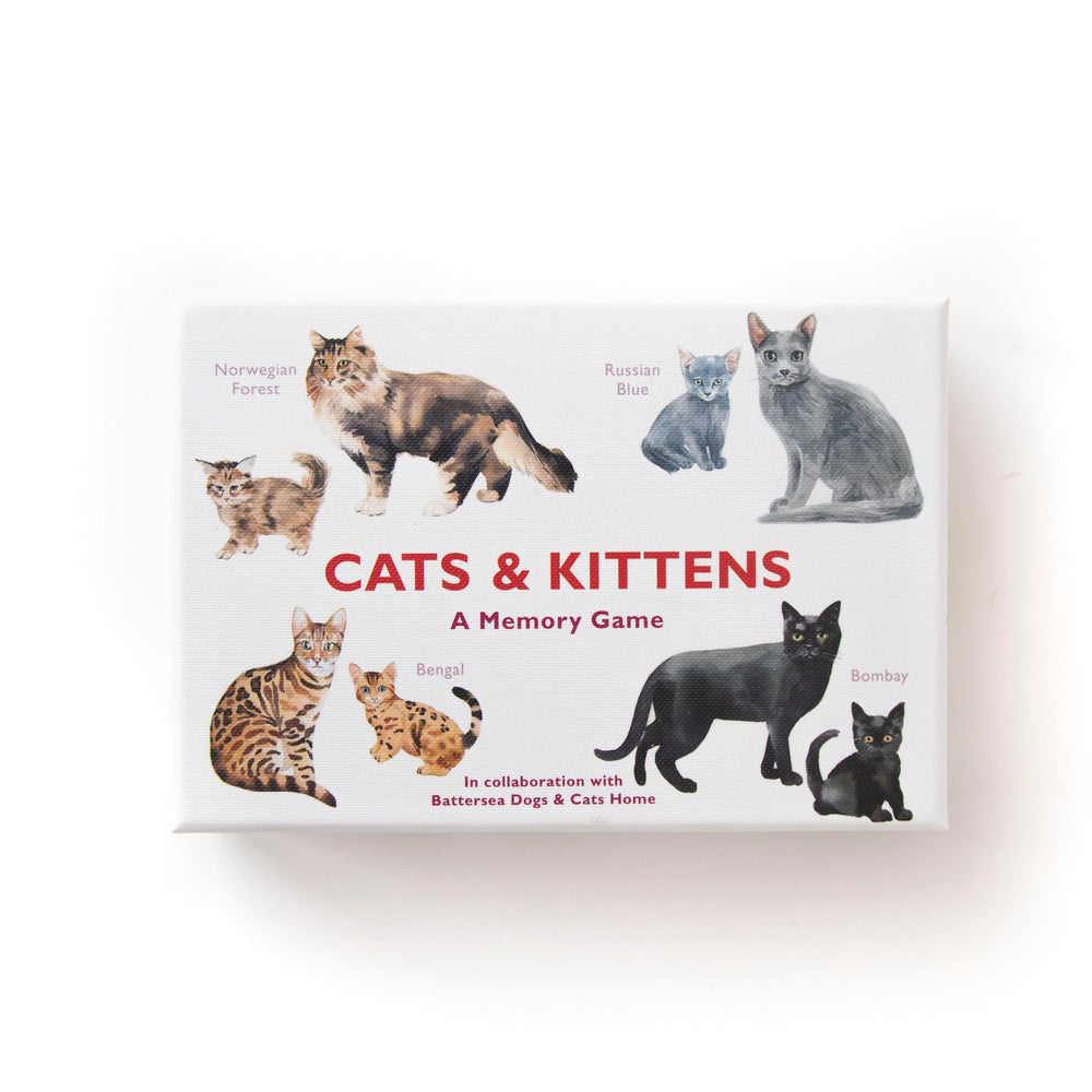 Cats & Kittens - memory spil