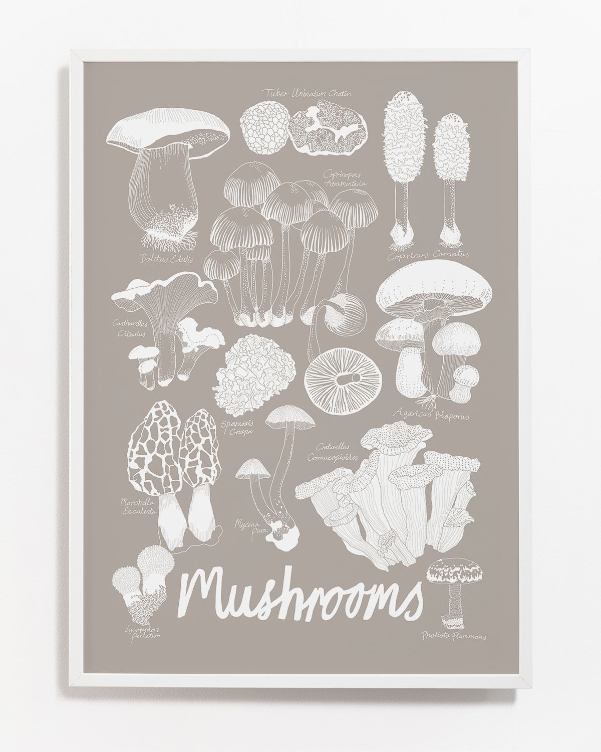 Mushrooms