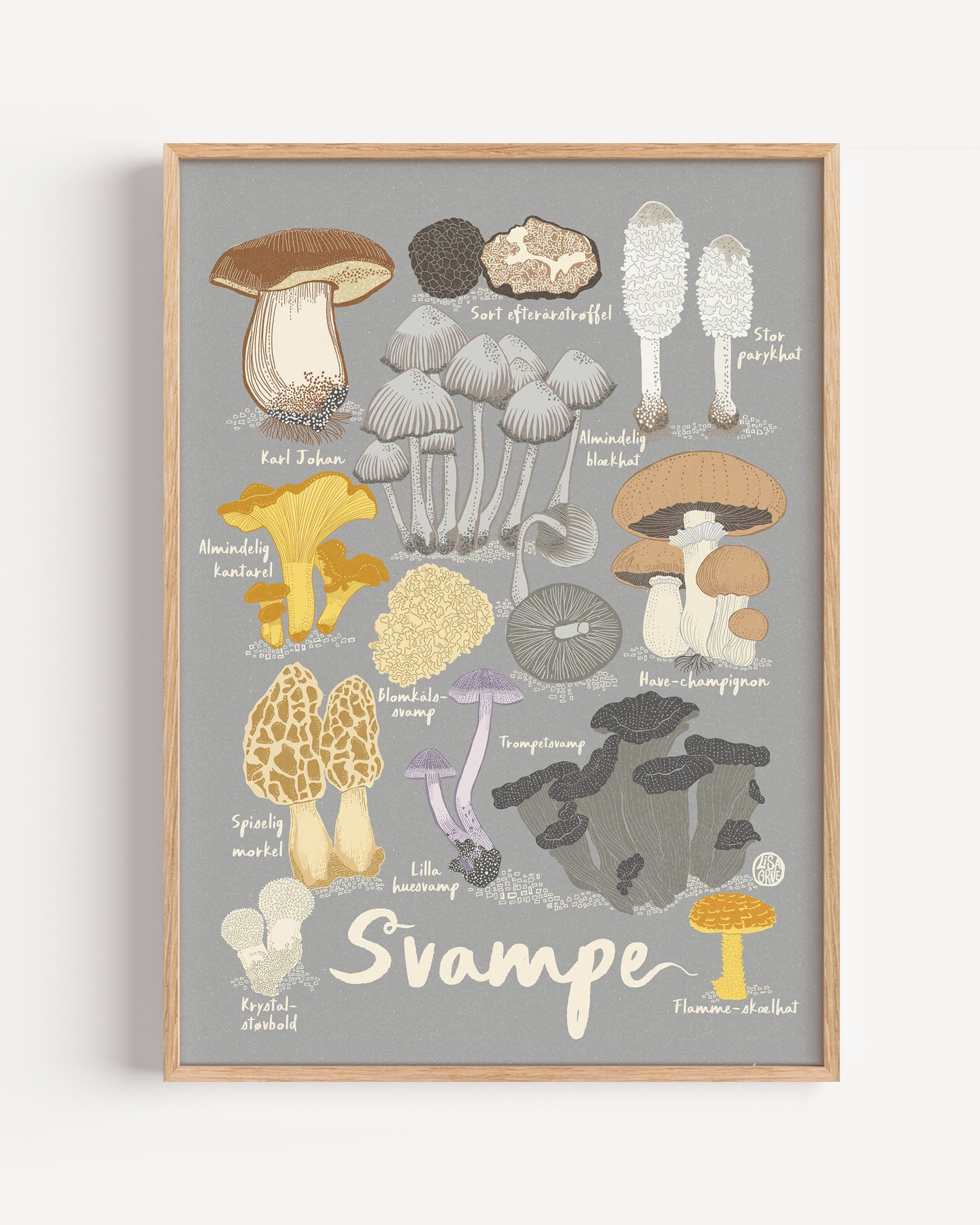 Svampe - farver