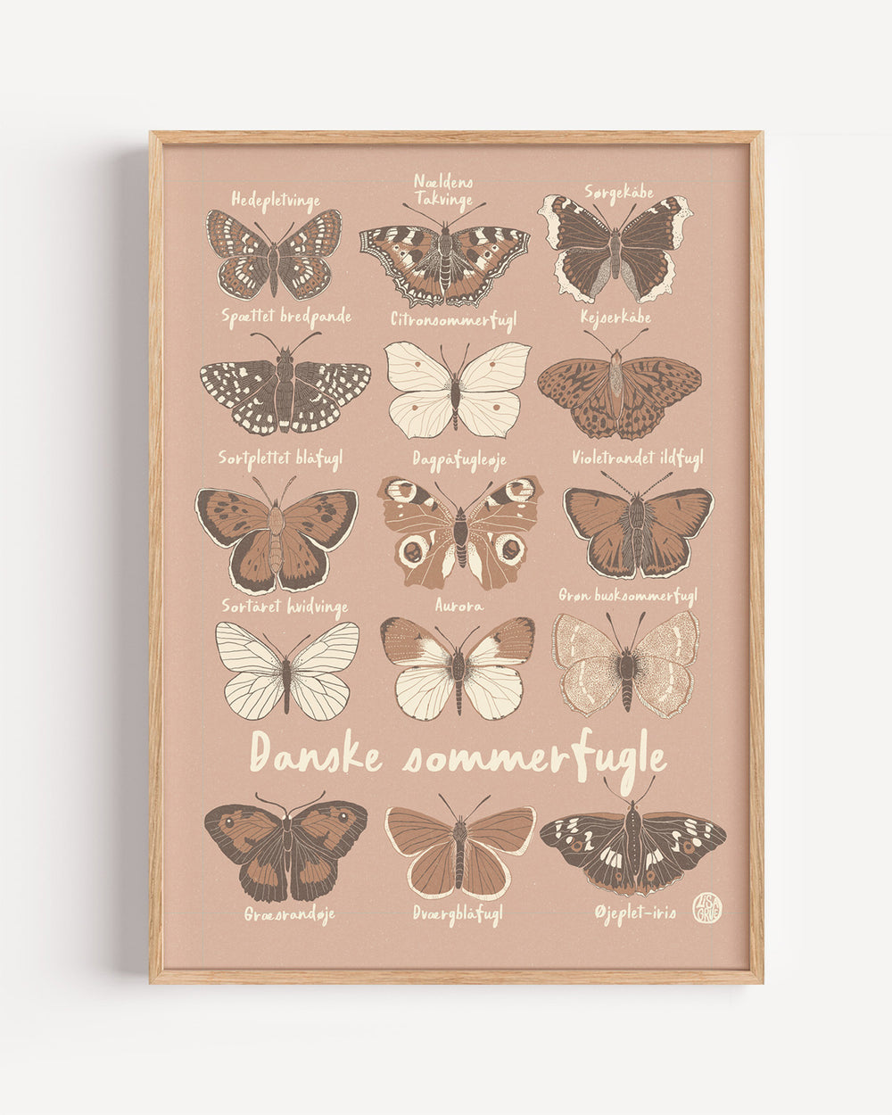 Butterflies - Brown / Pink