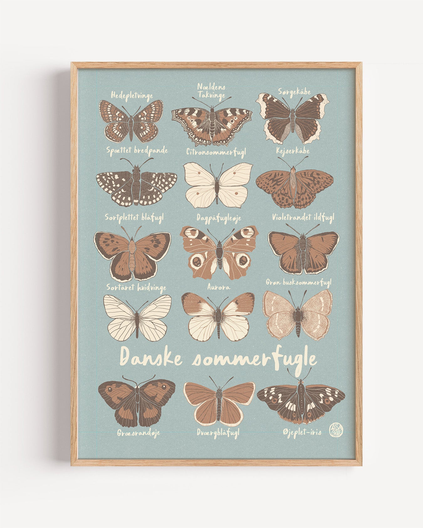 
                  
                    Butterflies - Light blue
                  
                