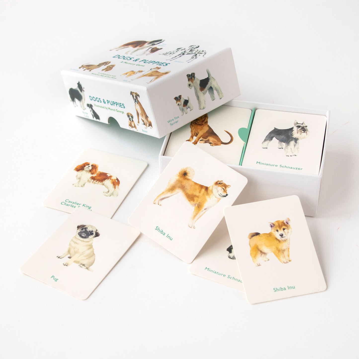 
                  
                    Dog & Puppies - memory game
                  
                
