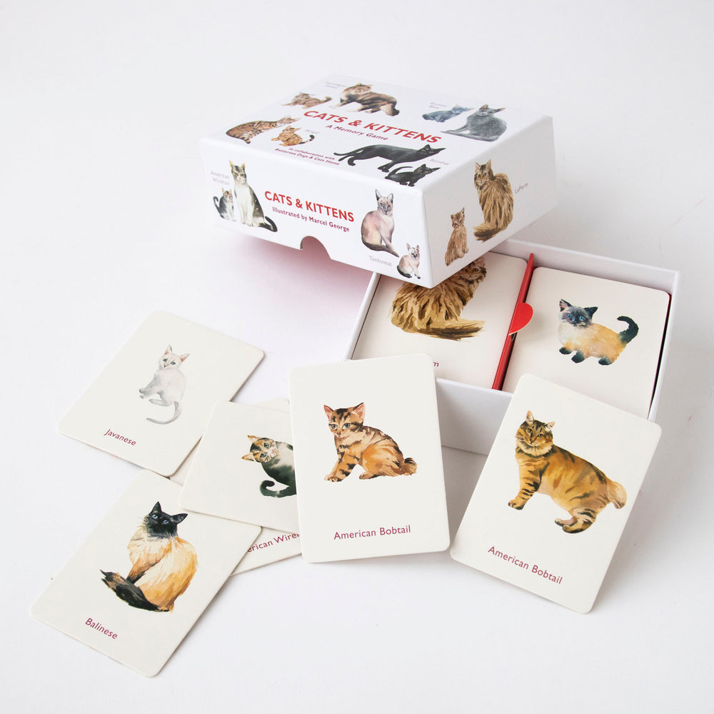 
                  
                    Cats & Kittens Memory game
                  
                