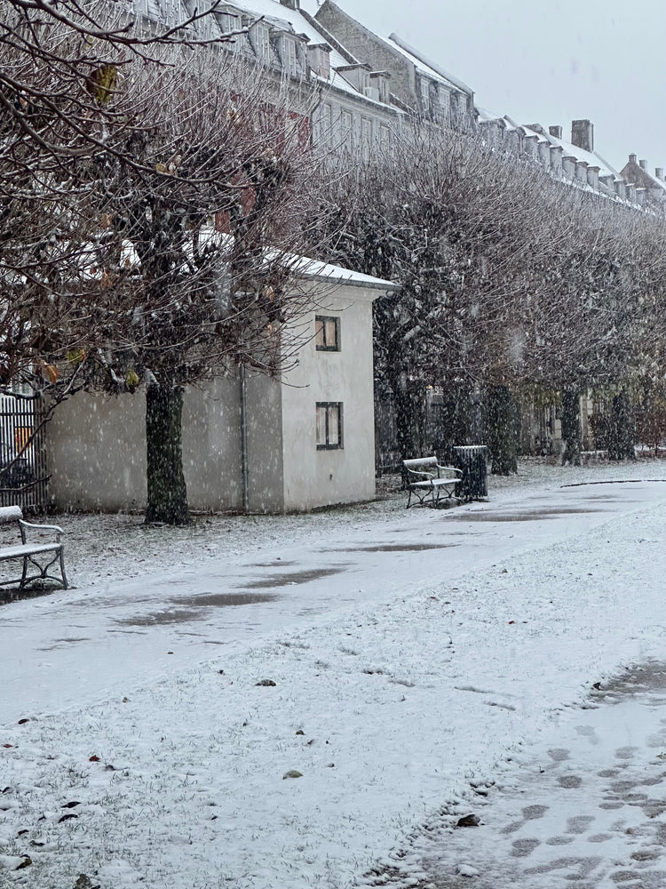 
                  
                    Lav julepynt i Lisa Grue Pavillionen i Kongen Have
                  
                