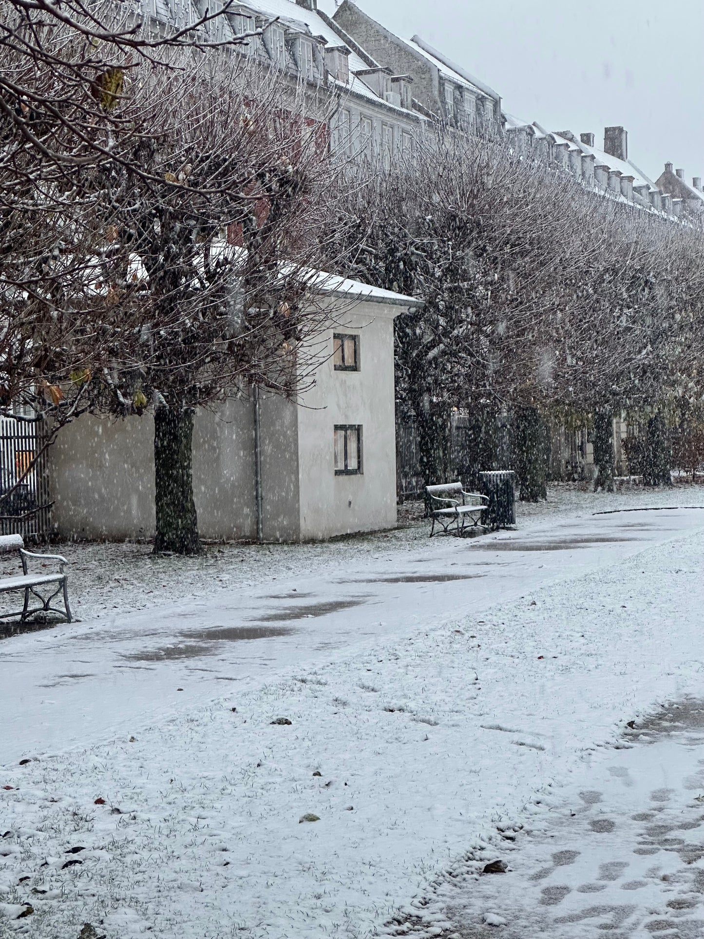 
                  
                    Lav julepynt i Lisa Grue Pavillionen i Kongen Have
                  
                