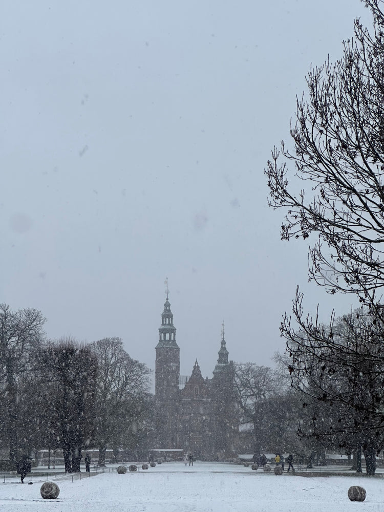 
                  
                    Lav julepynt i Lisa Grue Pavillionen i Kongen Have
                  
                