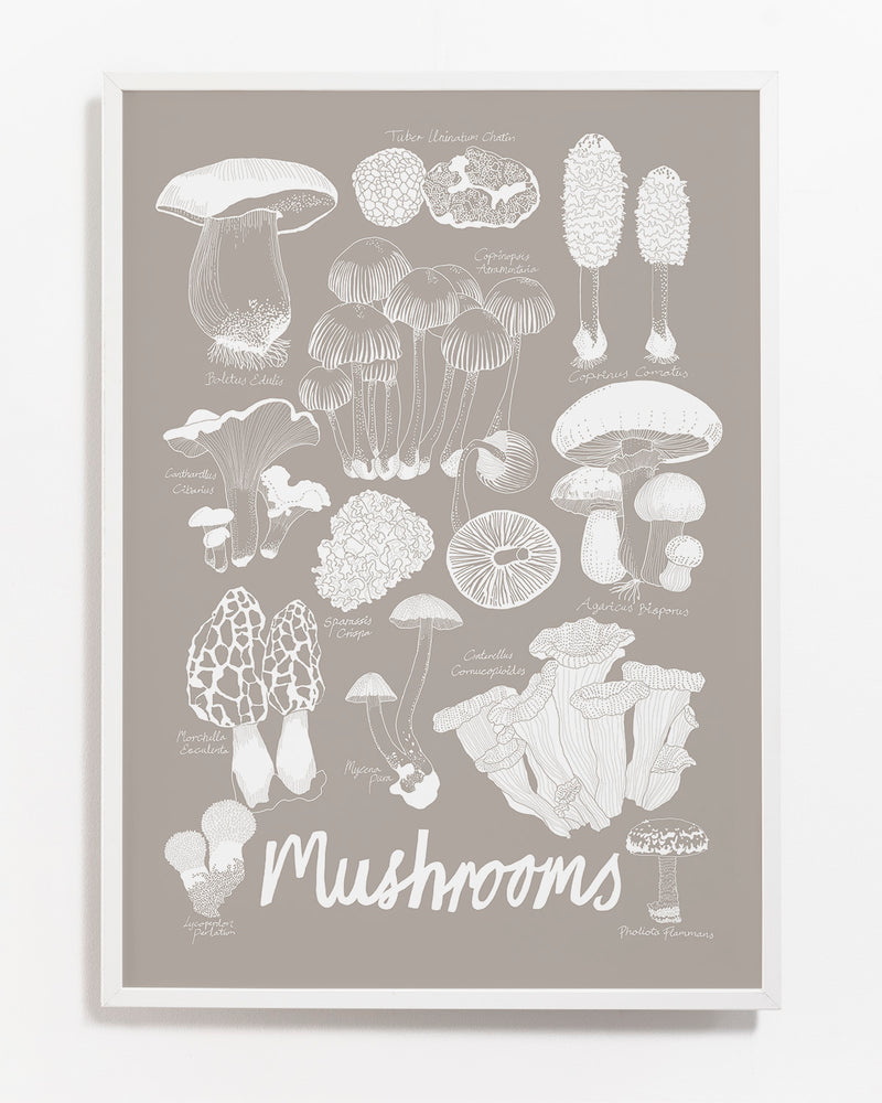 
                  
                    "Mushrooms" 50x70cm  Offset print
                  
                