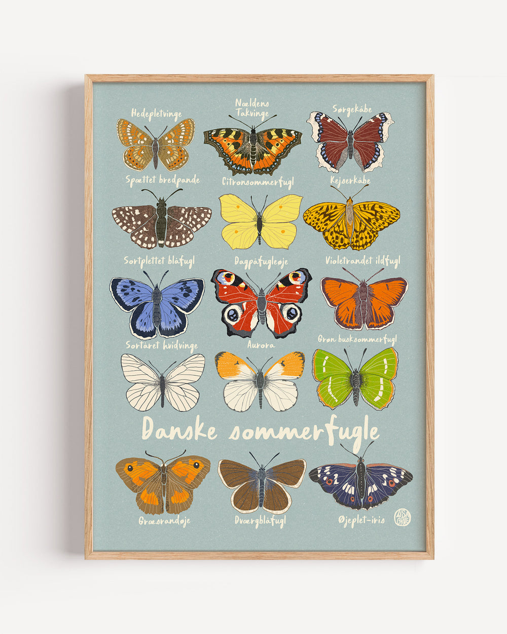Butterflies - Blue  true color