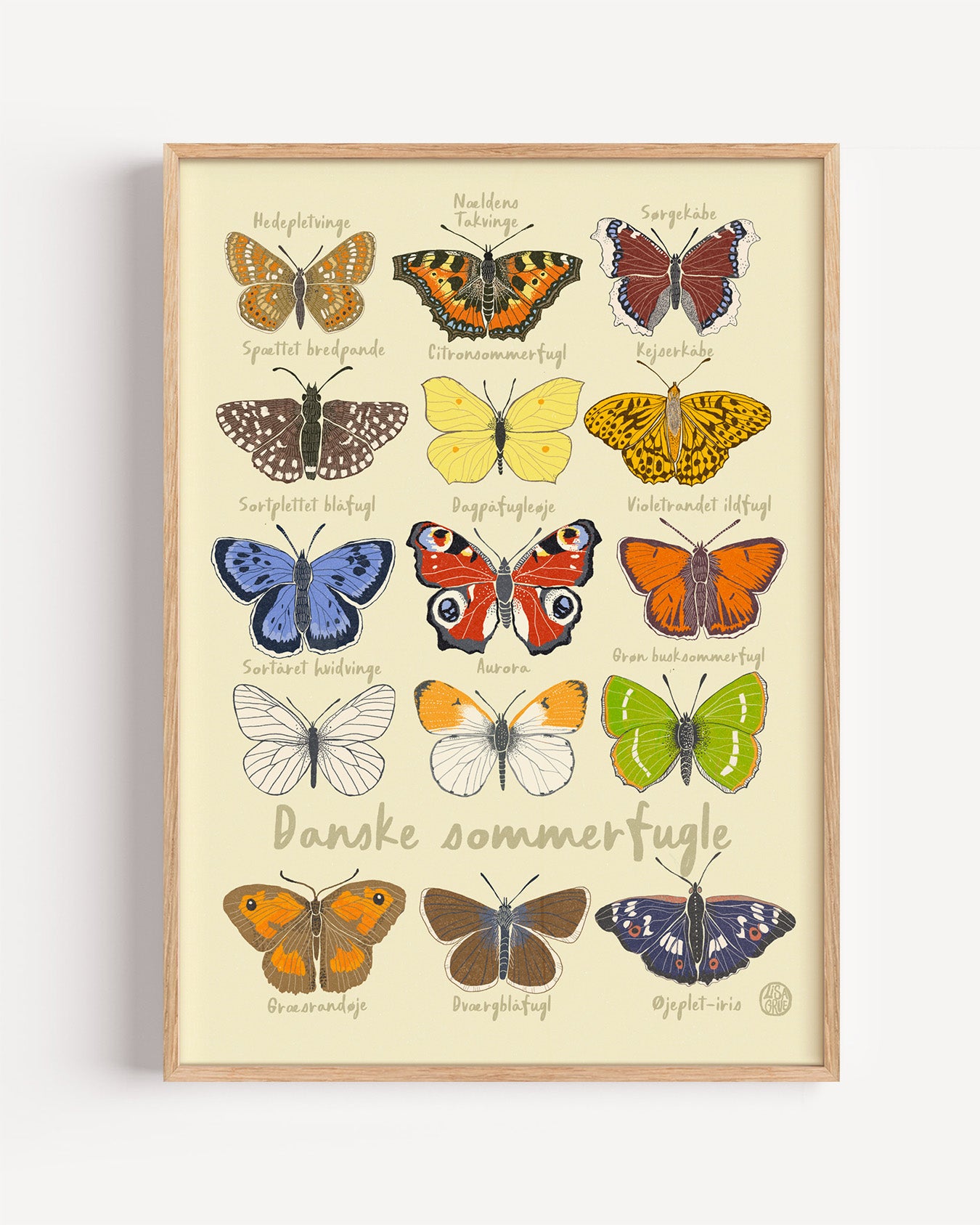 Butterflies - Yellow  true color