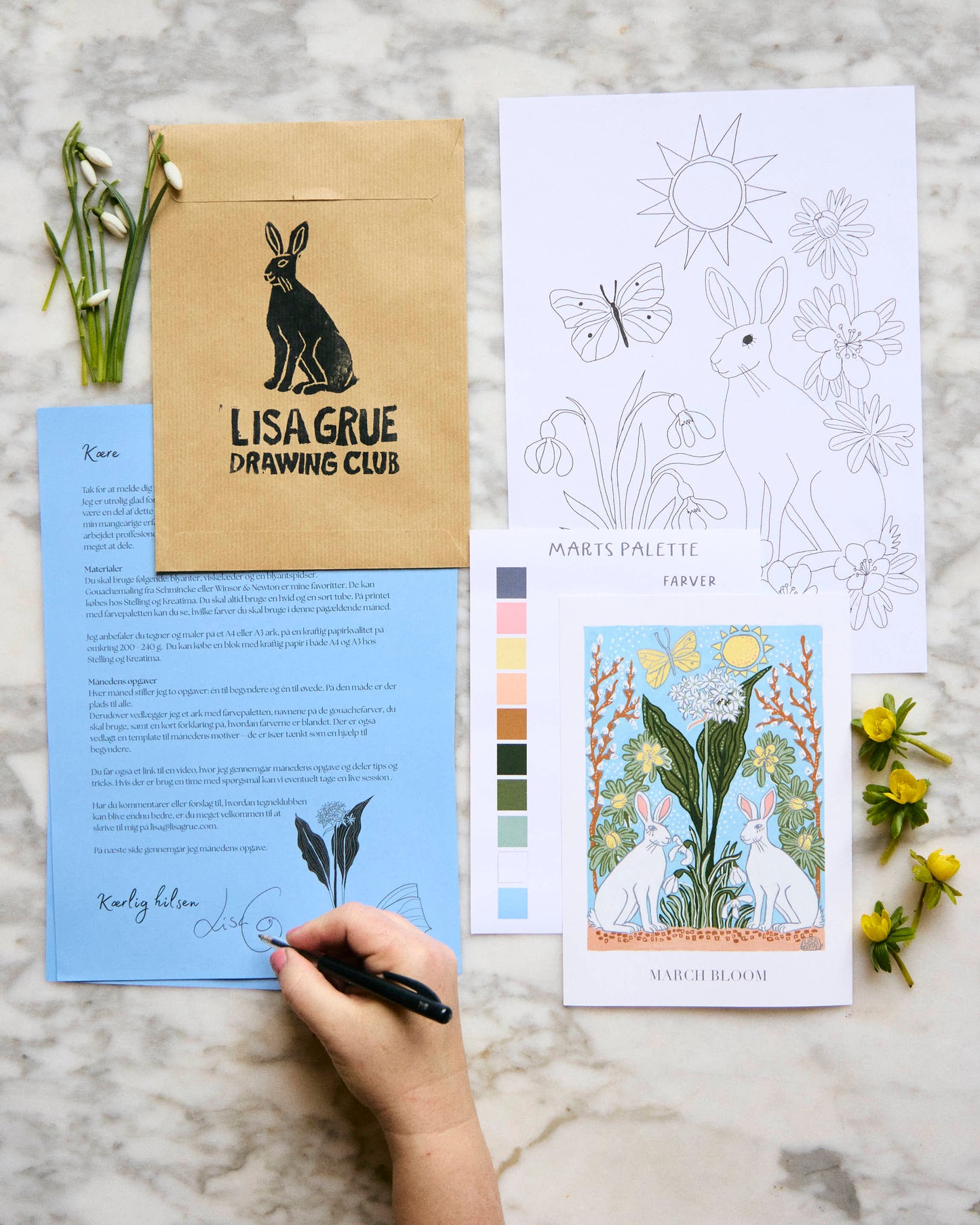 
                  
                    Lisa Grue Drawing Club
                  
                