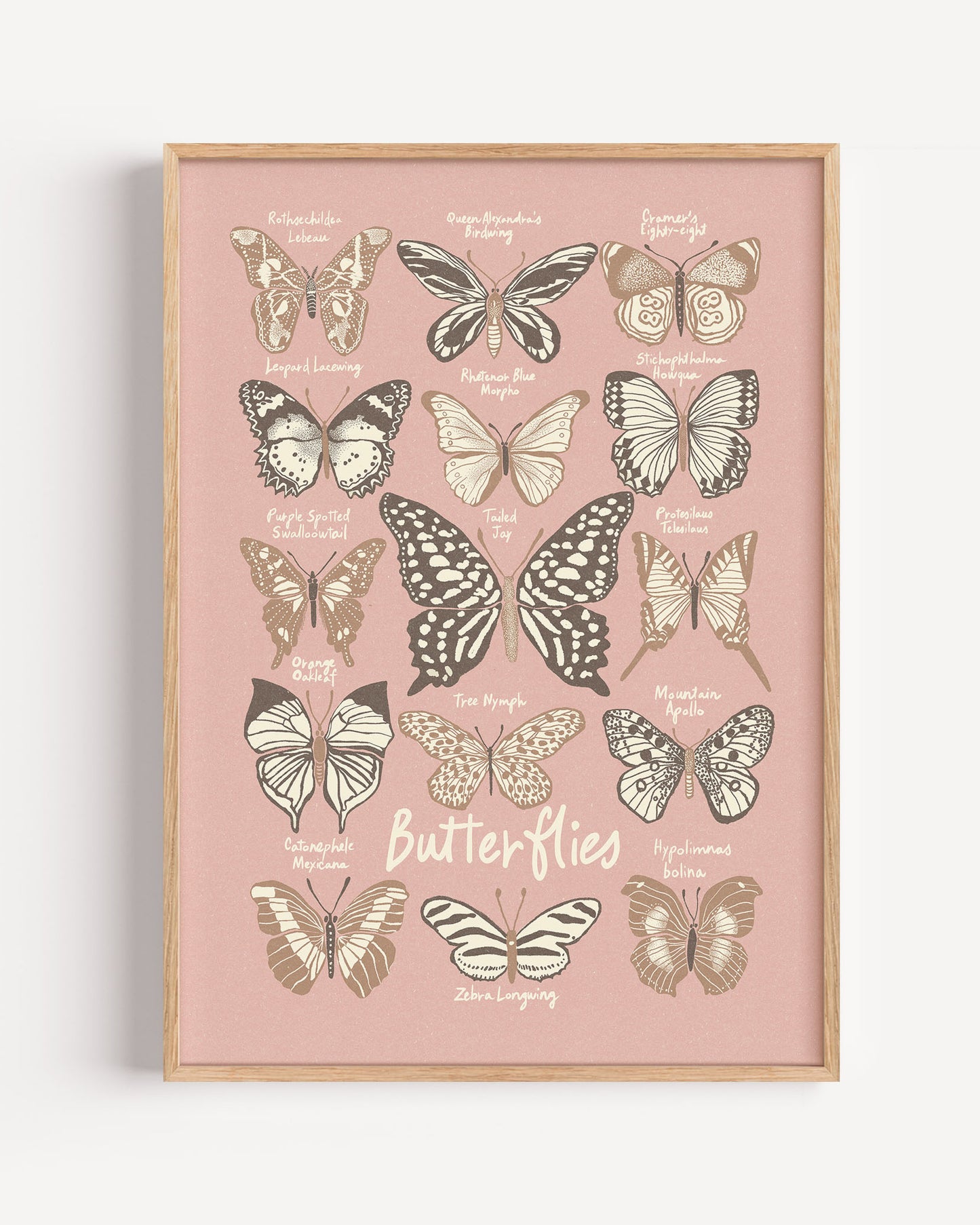 
                  
                    Butterflies - Brown / Pink
                  
                