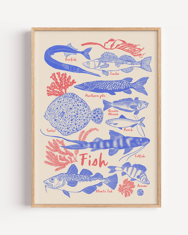 
                  
                    Fish - sand
                  
                
