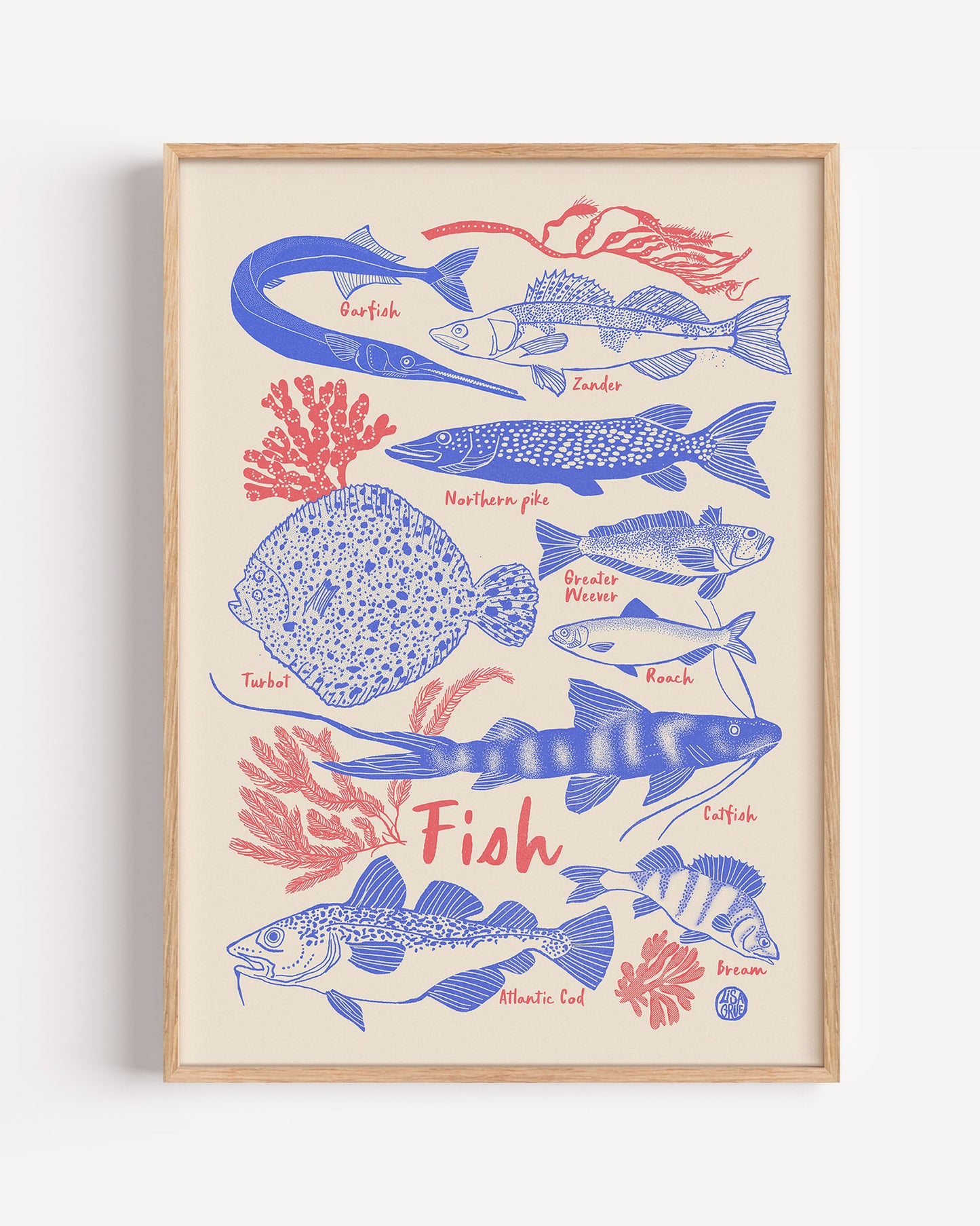 
                  
                    Fish - sand
                  
                