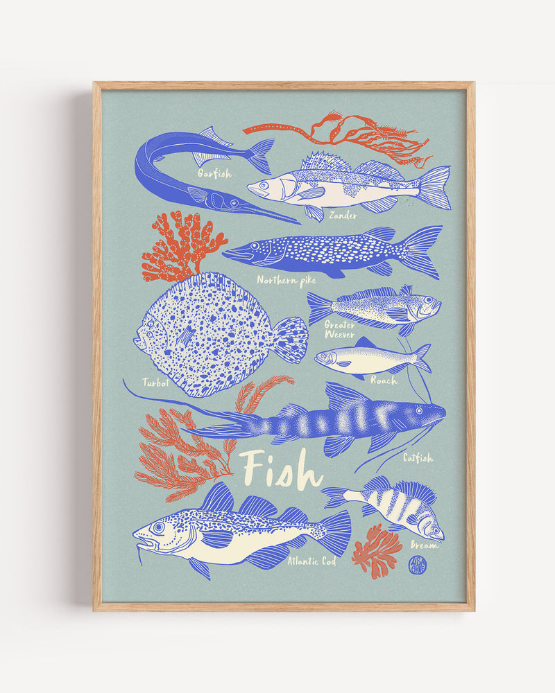 
                  
                    Fisk - Lyseblå
                  
                