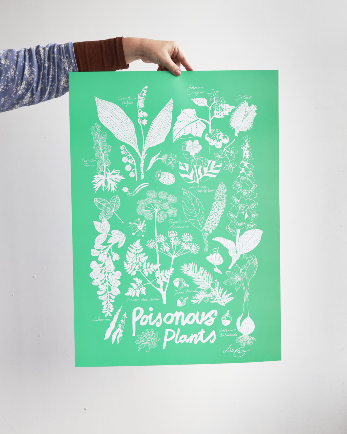 "Poisonous plants" 50x70cm  Offset print