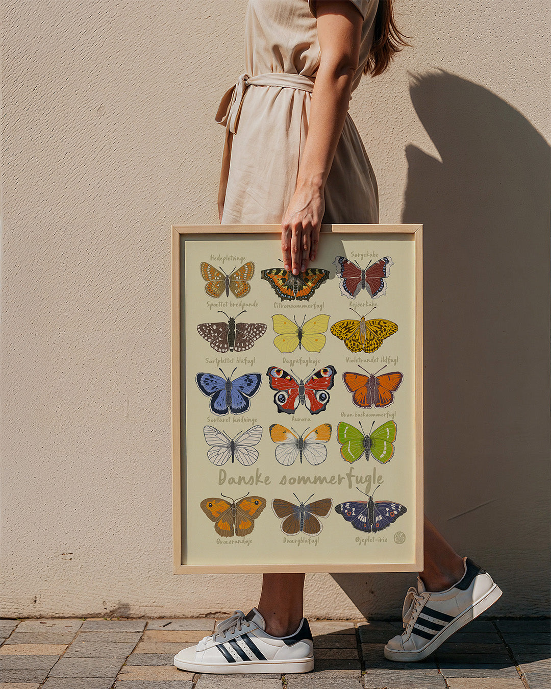 
                  
                    Butterflies - Yellow  true color
                  
                