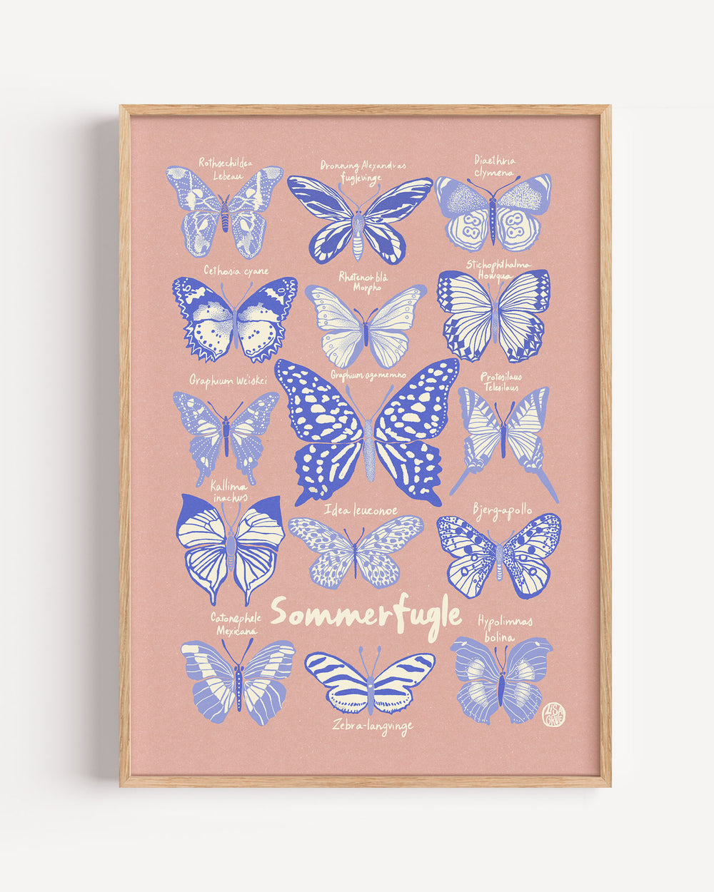 Butterflies - Pink