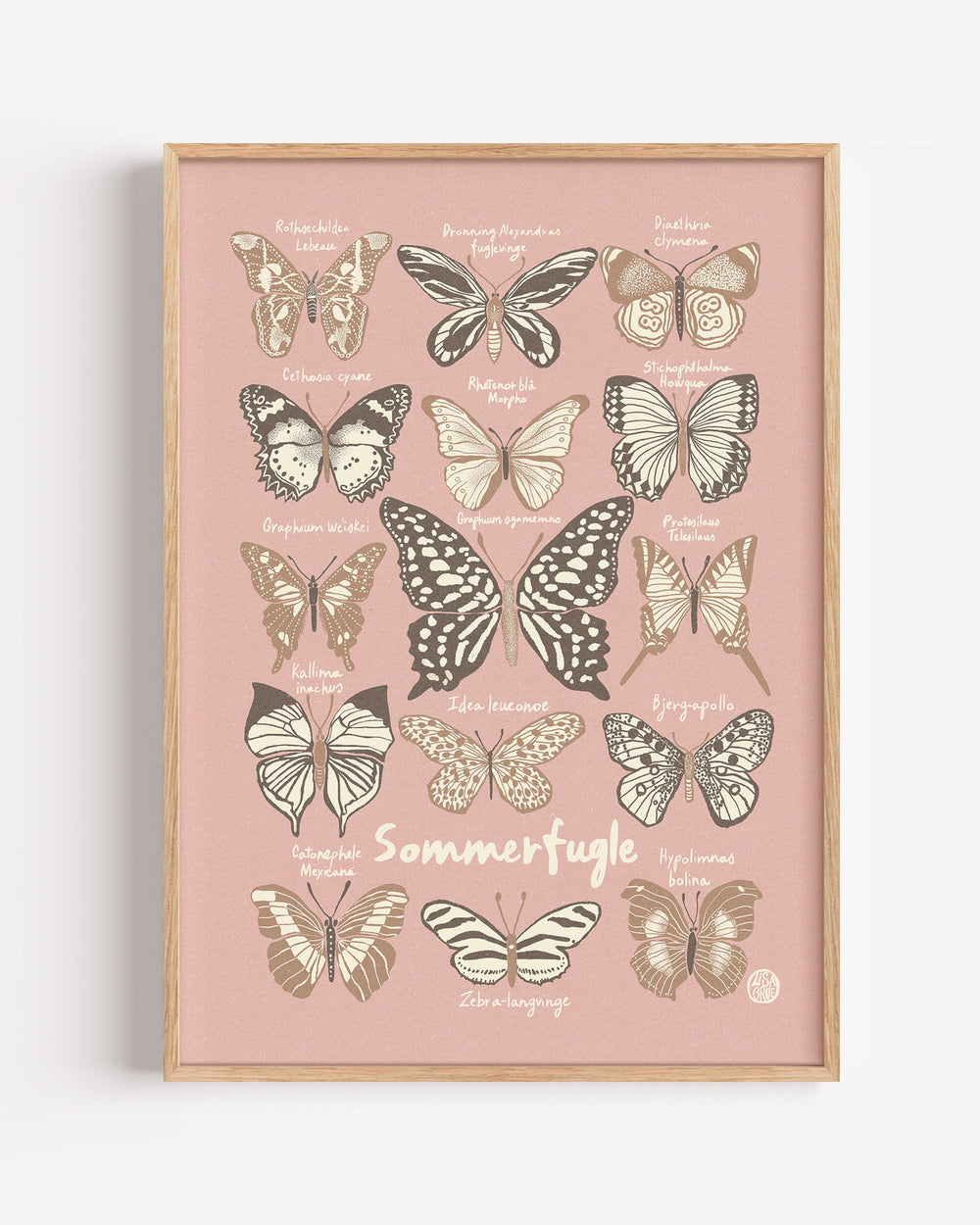 Butterflies - Brown / Pink
